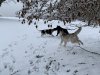 IMG_0217