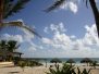 Mexico2010