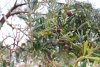 05_Mittwoch (26)