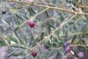 05_Mittwoch (28)